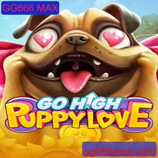 Descubra o Mundo Fascinante de GoHighPuppyLove